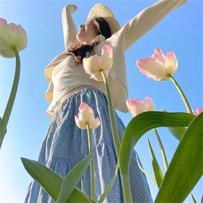 船长的魔法钻石